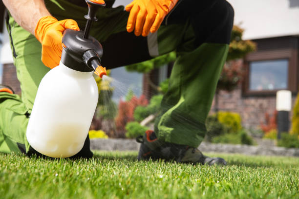 Best Flea Control Services  in Huntingdon, TN