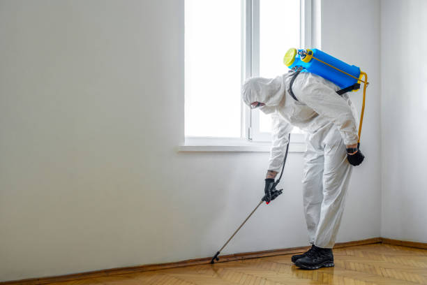 Best Pest Prevention Services  in Huntingdon, TN
