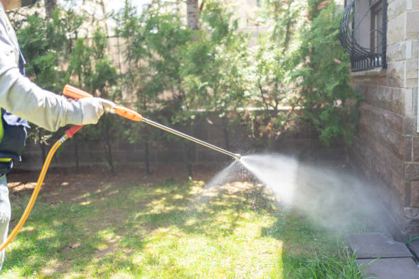 Reliable Huntingdon, TN Pest Control Solutions