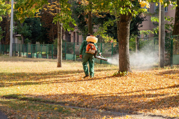 Trusted Huntingdon, TN Pest Control Experts